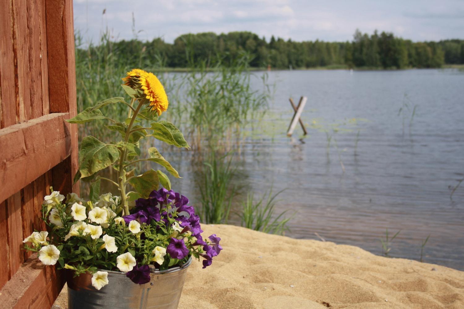 Kyyhkylae Hotel And Manor Mikkeli Bagian luar foto